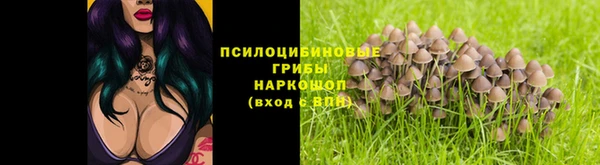 дурь Арсеньев