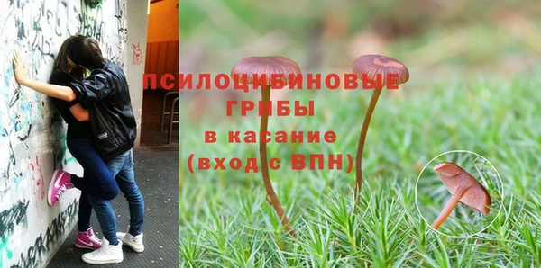 дурь Арсеньев