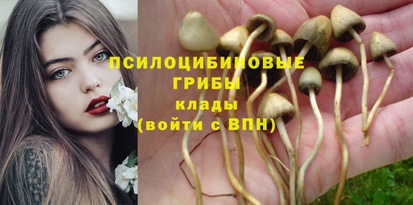 a pvp Верхний Тагил