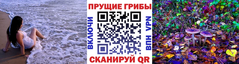 закладки  Чусовой  Псилоцибиновые грибы Psilocybe 